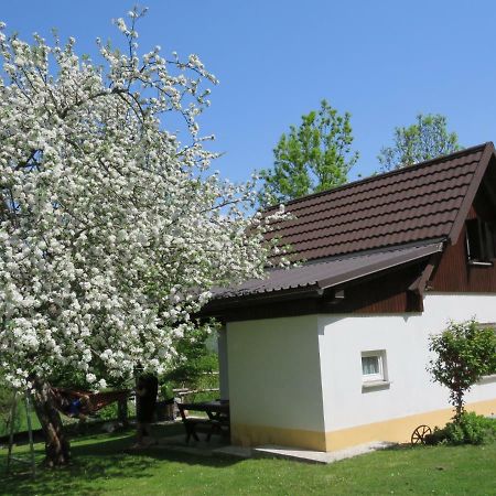 Pocitniska Hiska Jager Cezsoca Villa Exterior foto