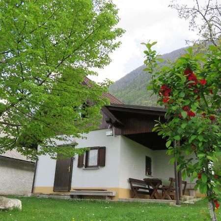 Pocitniska Hiska Jager Cezsoca Villa Exterior foto