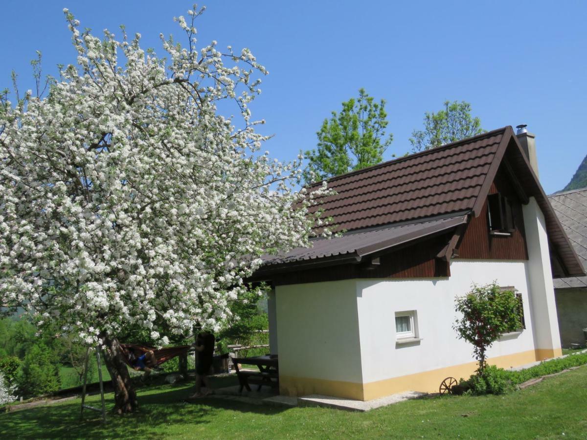 Pocitniska Hiska Jager Cezsoca Villa Exterior foto