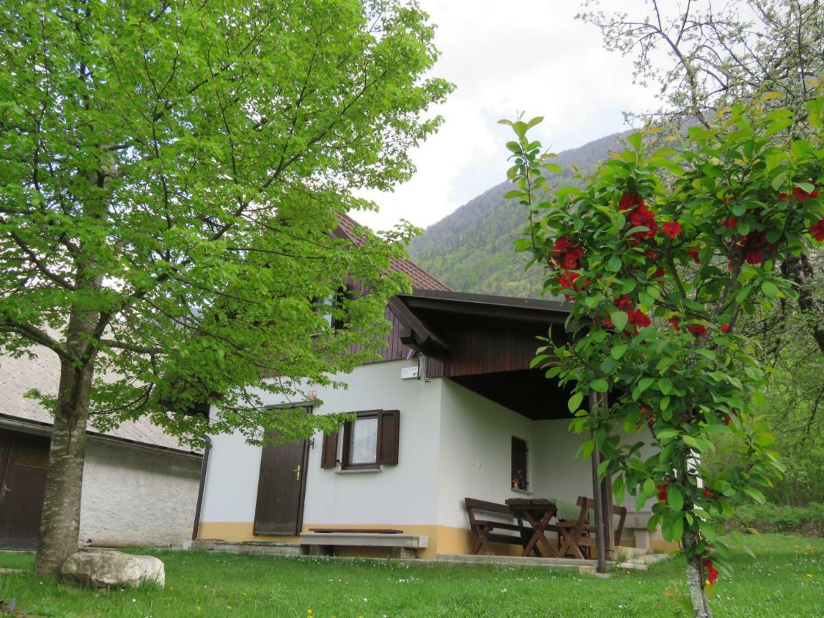 Pocitniska Hiska Jager Cezsoca Villa Exterior foto