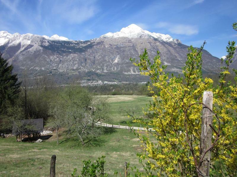 Pocitniska Hiska Jager Cezsoca Villa Exterior foto