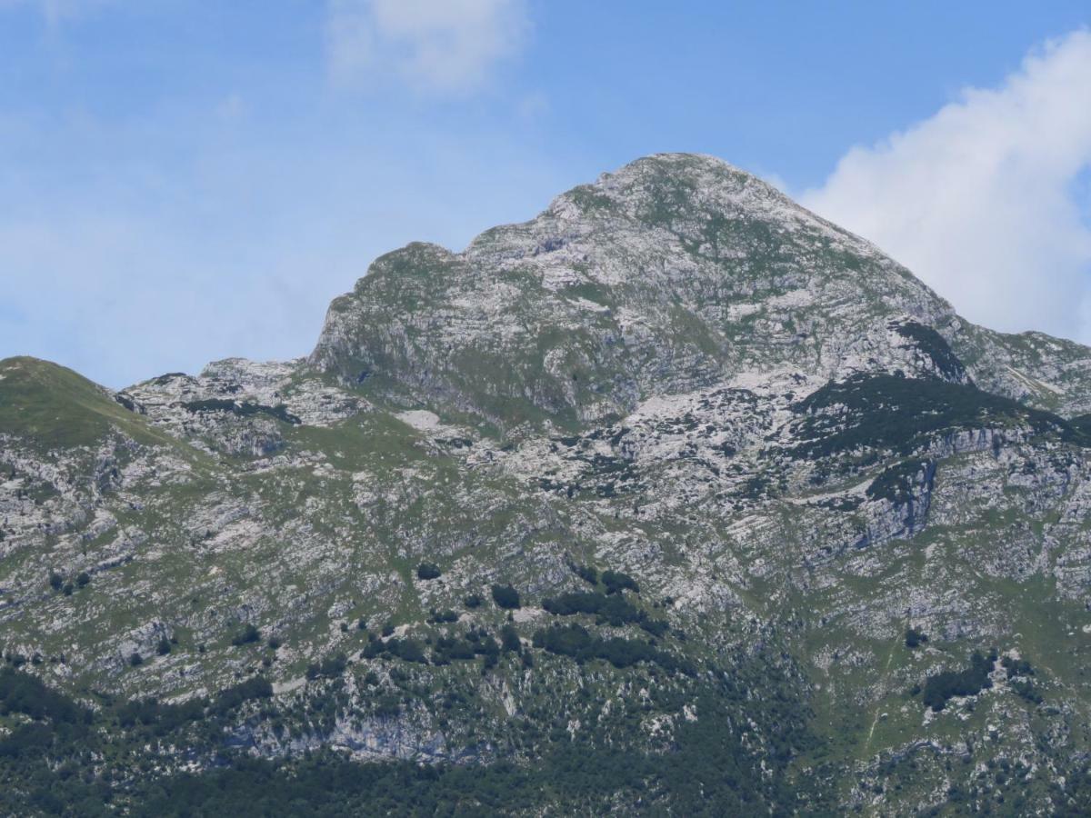 Pocitniska Hiska Jager Cezsoca Villa Exterior foto